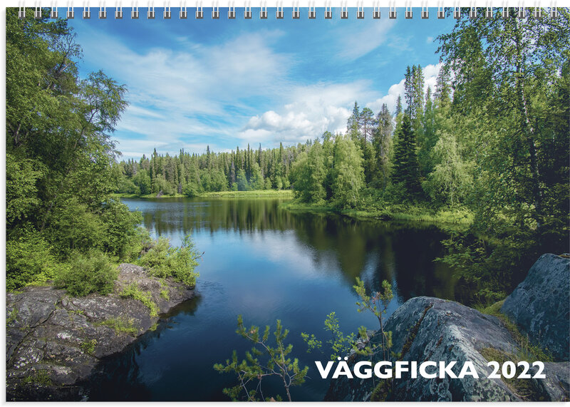 Väggficka, FSC Mix