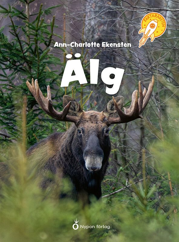Älg