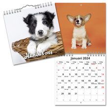 Väggkalender Hundar Mini 2024 160x160mm